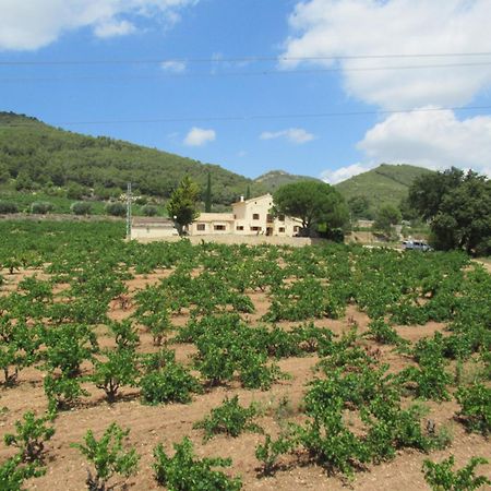 Casa Rural Cal Marti El Pla de Manlleu ภายนอก รูปภาพ