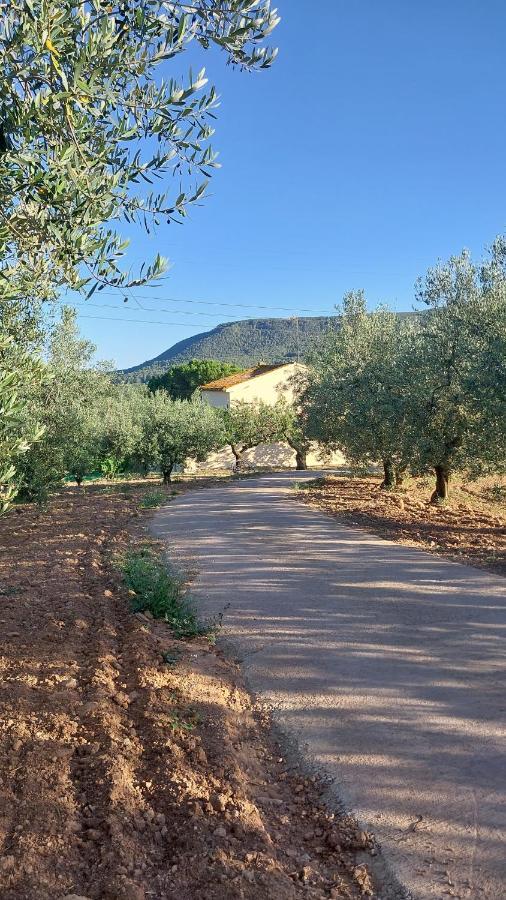 Casa Rural Cal Marti El Pla de Manlleu ภายนอก รูปภาพ