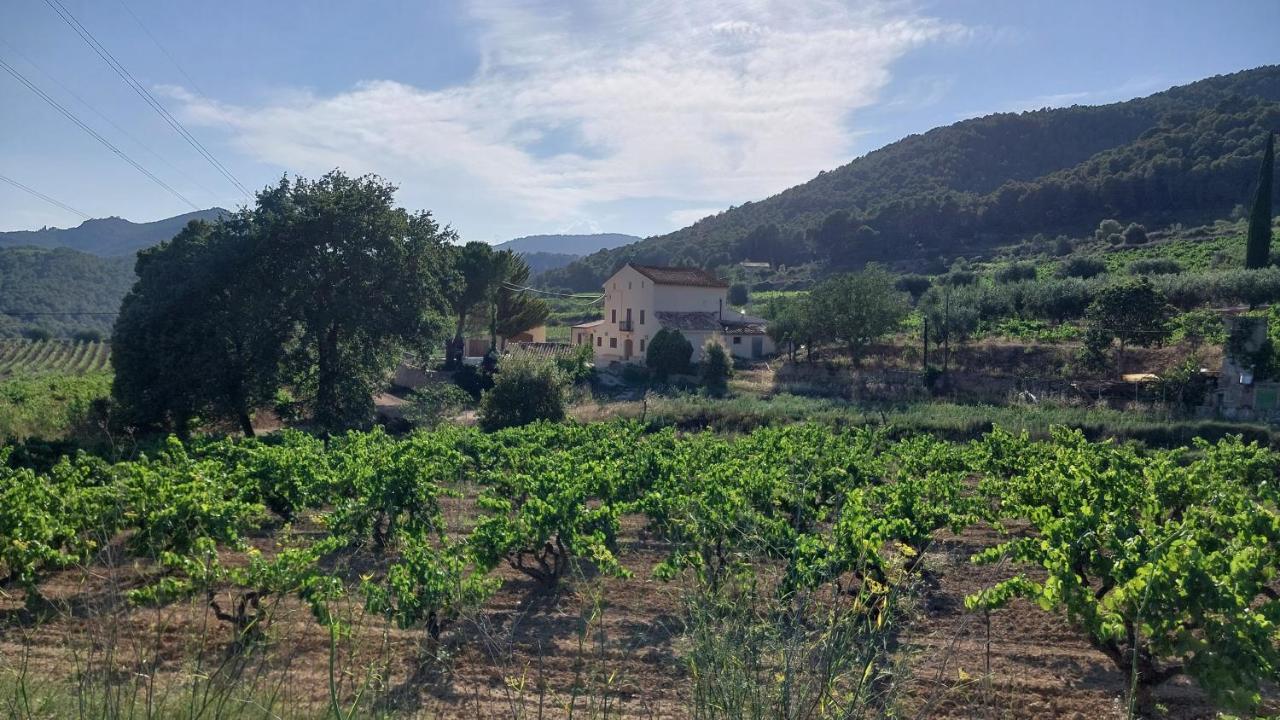 Casa Rural Cal Marti El Pla de Manlleu ภายนอก รูปภาพ