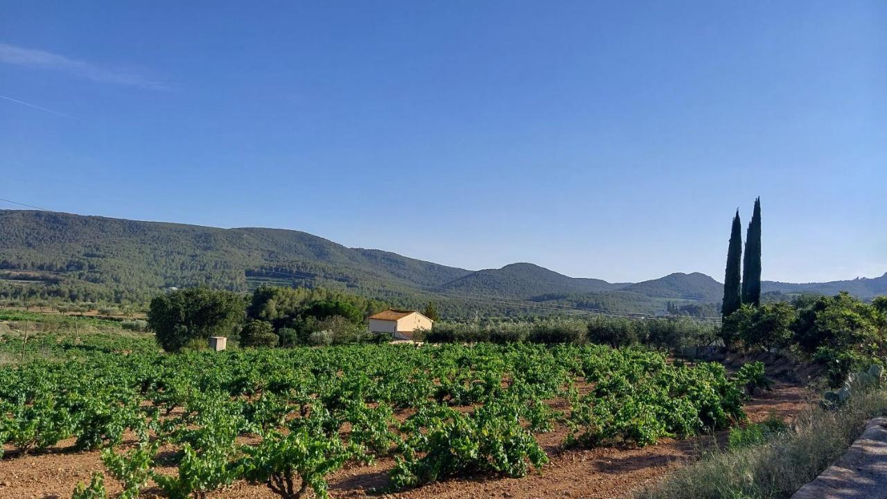Casa Rural Cal Marti El Pla de Manlleu ภายนอก รูปภาพ