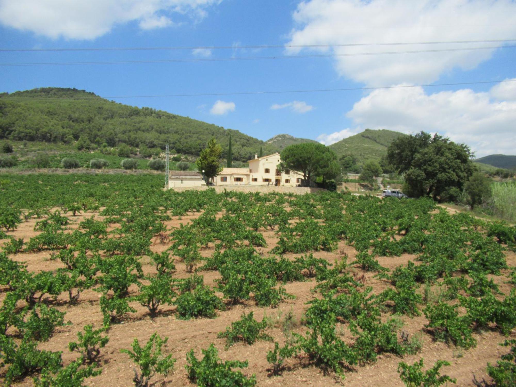 Casa Rural Cal Marti El Pla de Manlleu ภายนอก รูปภาพ